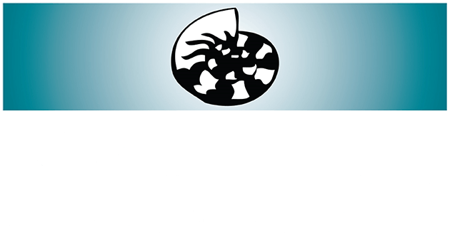 nautilus shipping agency logo